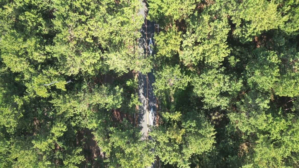 【作業用BGV・BGM / 日本の自然風景】松林 / 福岡・宗像 / 日本の空から / From the sky of Japan vol.13