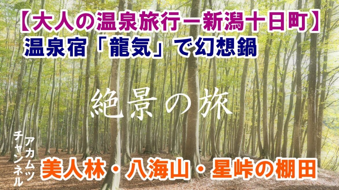 大人の温泉旅行「絶景の旅　新潟十日町・八海山エリア」