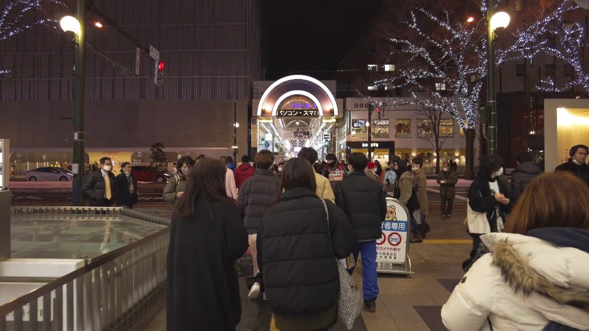 【4K】狸小路商店街 クリスマスイブの散策 2022 日本 北海道 札幌 中央区【Binaural Audio】 【4K】狸小路商店街 クリスマスイブの散策 2022 日本 北海道 札幌 中央区【Binaural Audio】