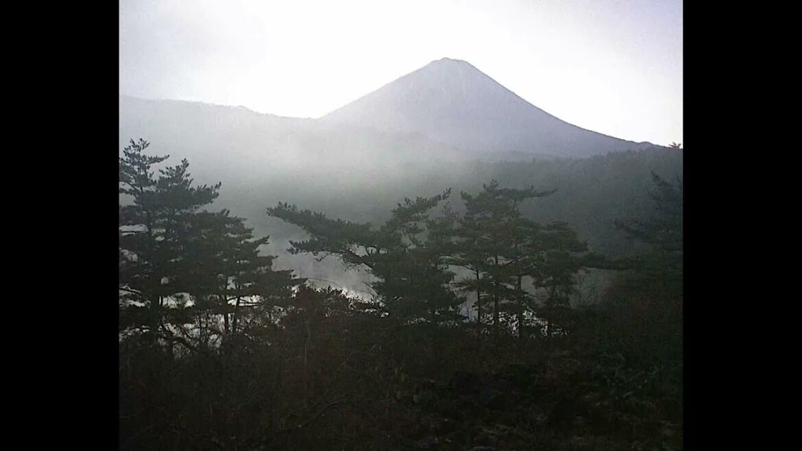 Mt  Fuji Time Lapse Video from Lake Saiko Fujiyama Live Camera 19 in 2022 11