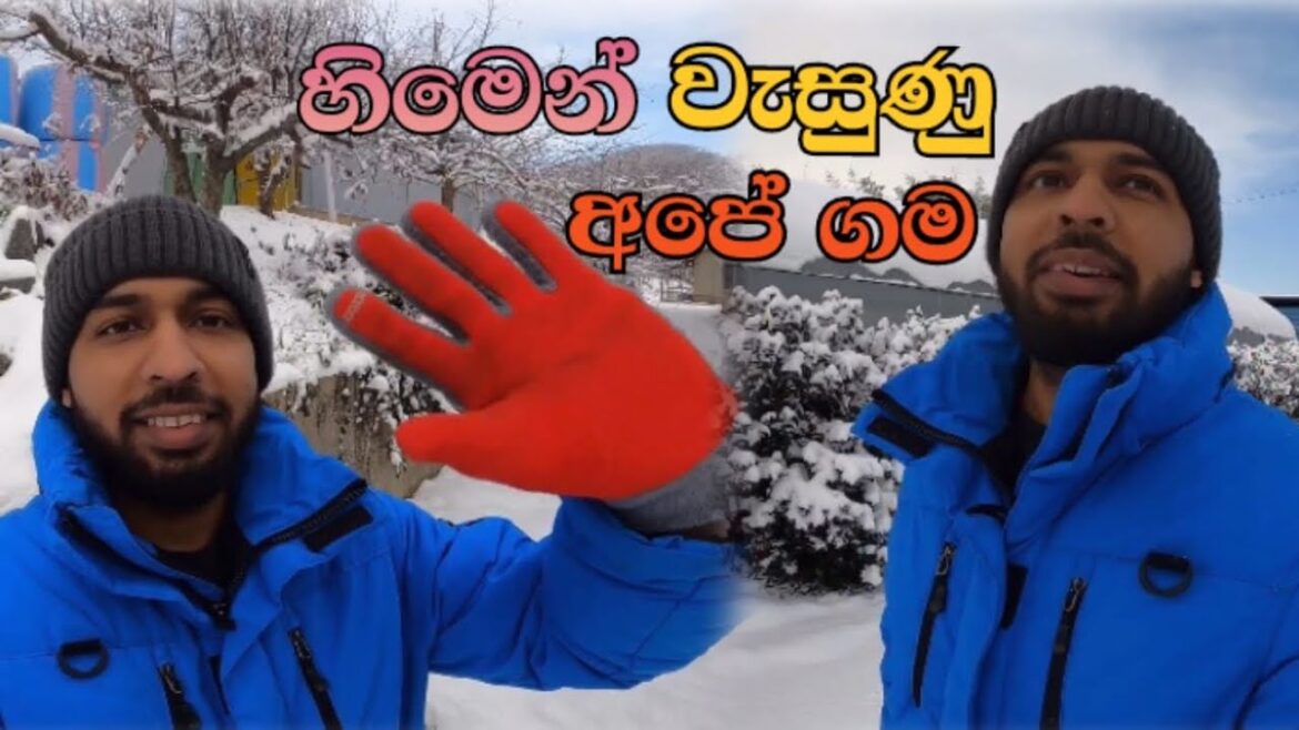හිමෙන් වැසුණු අපේ ගම බලන්න යමුද /korea snow day/ranga vlog