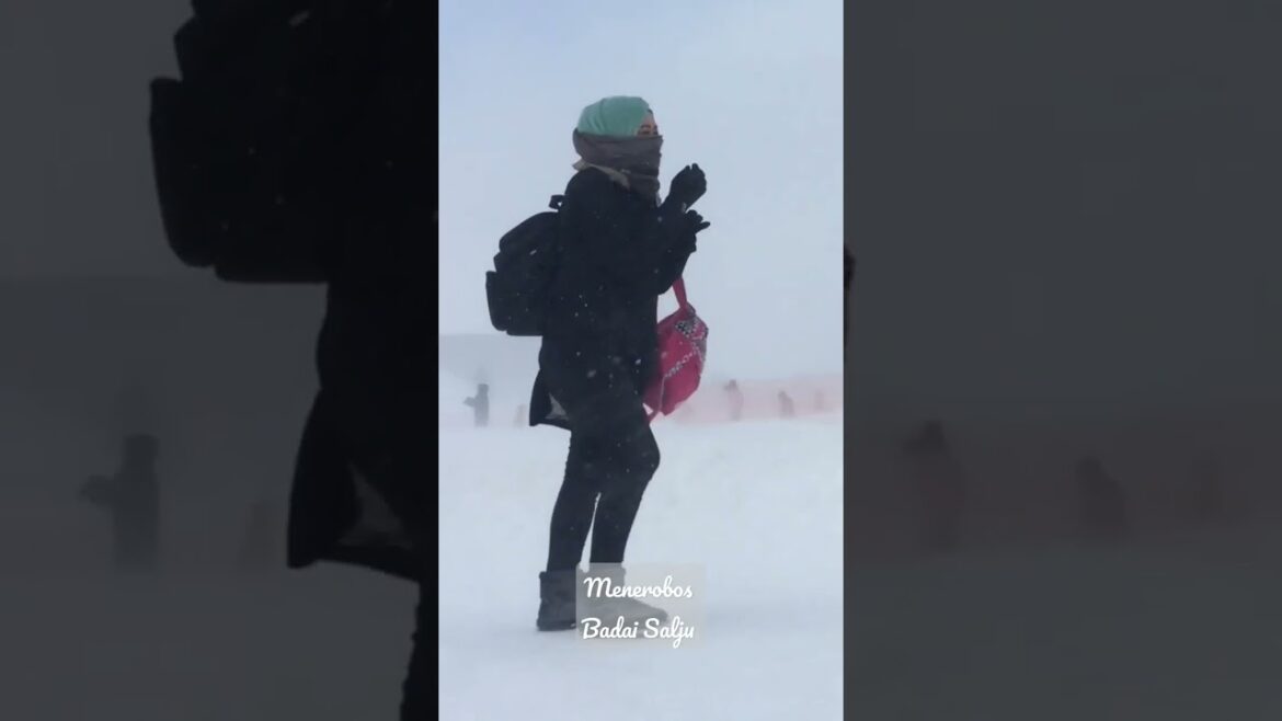 BADAI SALJU JEPANG | WINTER HOLIDAY | SNOW STORM