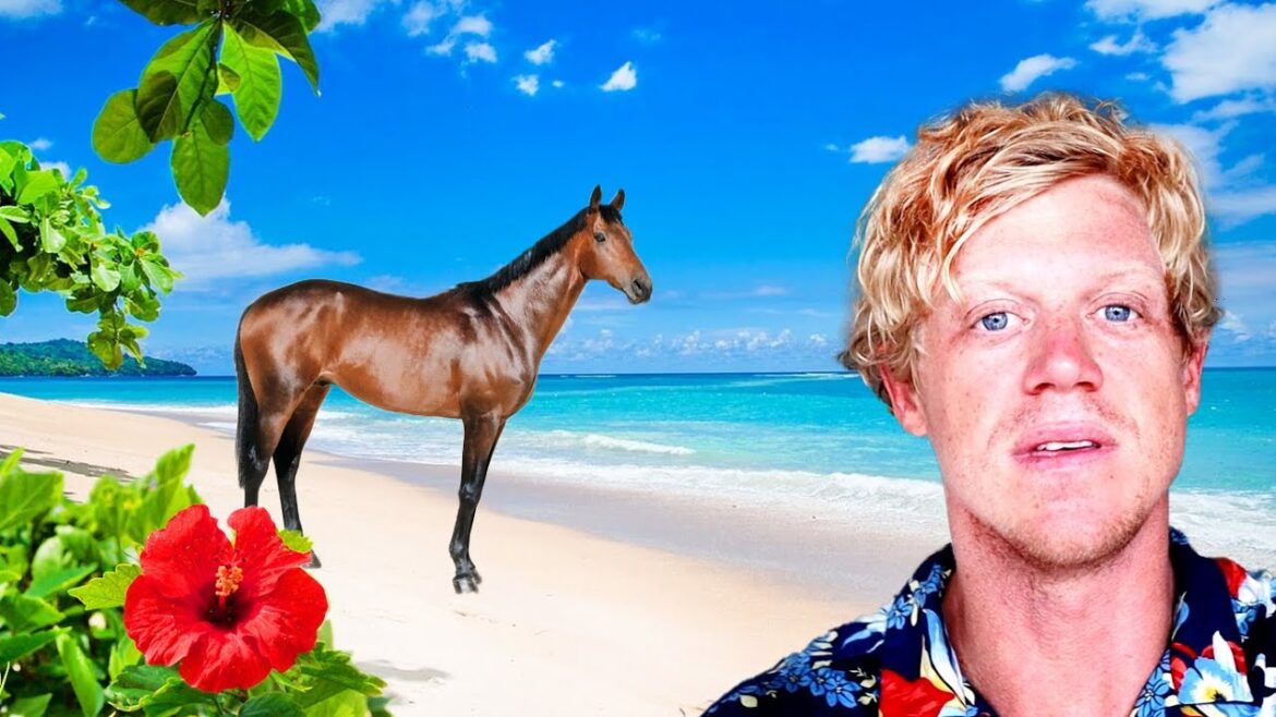 Most Amazing Landscapes In The World! (Dominican Republic) Most Amazing Landscapes In The World! (Dominican Republic)