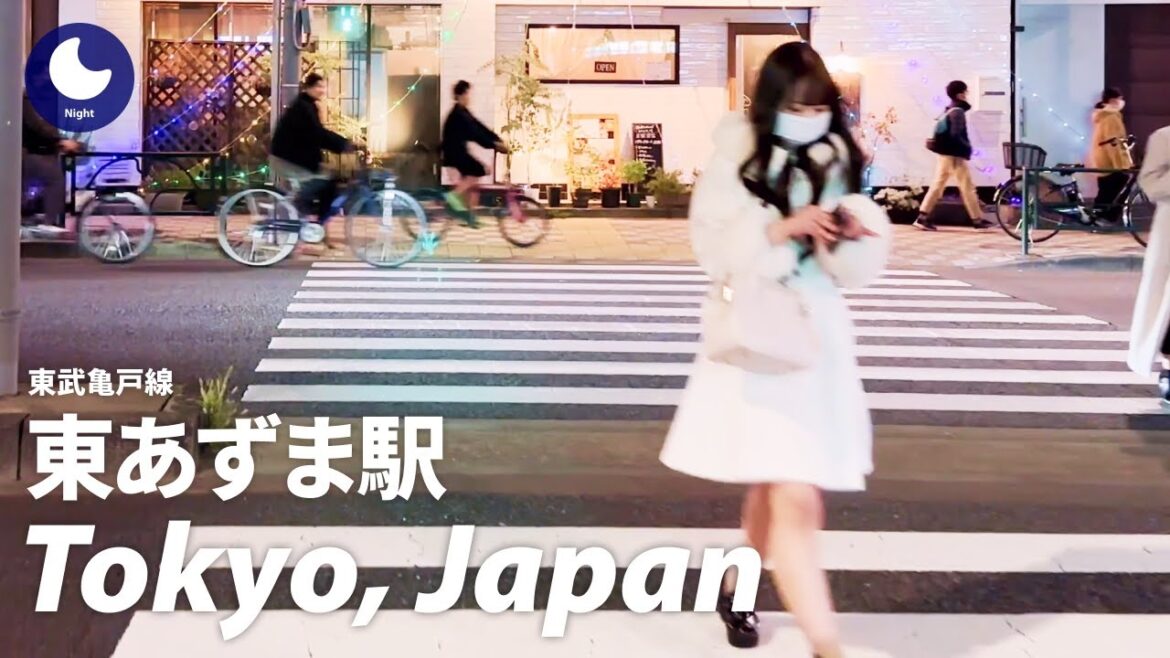 ⁴ᴷ Japan: Higashi Azuma Station, Tokyo / Tobu Kameido Line : Walking Tour (December, 2022) ⁴ᴷ Japan: Higashi Azuma Station, Tokyo / Tobu Kameido Line : Walking Tour (December, 2022)