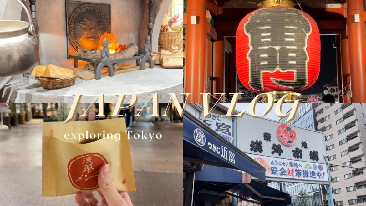 12 days of Japan🇯🇵 | day 1-2: exploring Tokyo | my first time travelling overseas 12 days of Japan🇯🇵 | day 1-2: exploring Tokyo | my first time travelling overseas