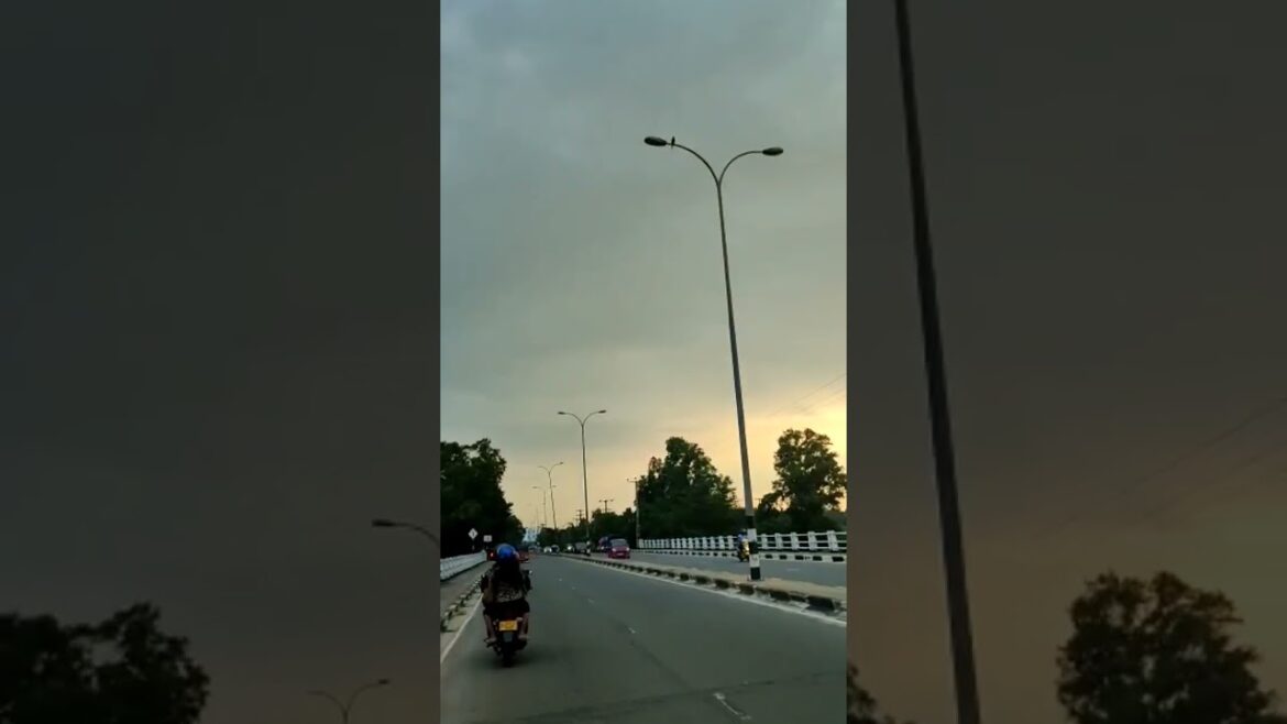 A trip through a beautiful rice field 😍 #shorts #ytshorts #vairalshorts #youtubeshorts