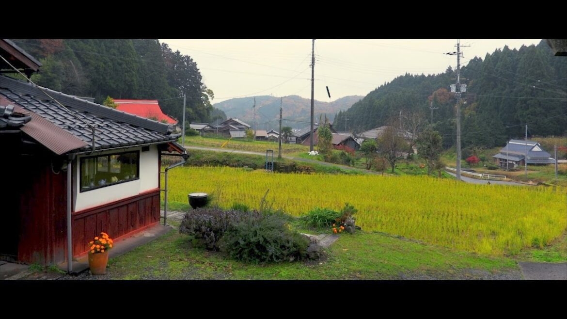 38 Years in Japan: Meet Swiss Artist Regina Maekawa-Altherr | Mini-Documentary