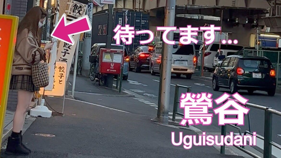 【今日も会えたね】鶯谷駅周辺を散歩[4K]…walk in Uguisudani　2022年12月26日