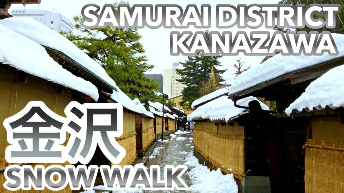 金沢に再び雪が積もりました⛄️ Snow walking in Kanazawa 金沢に再び雪が積もりました⛄️ Snow walking in Kanazawa
