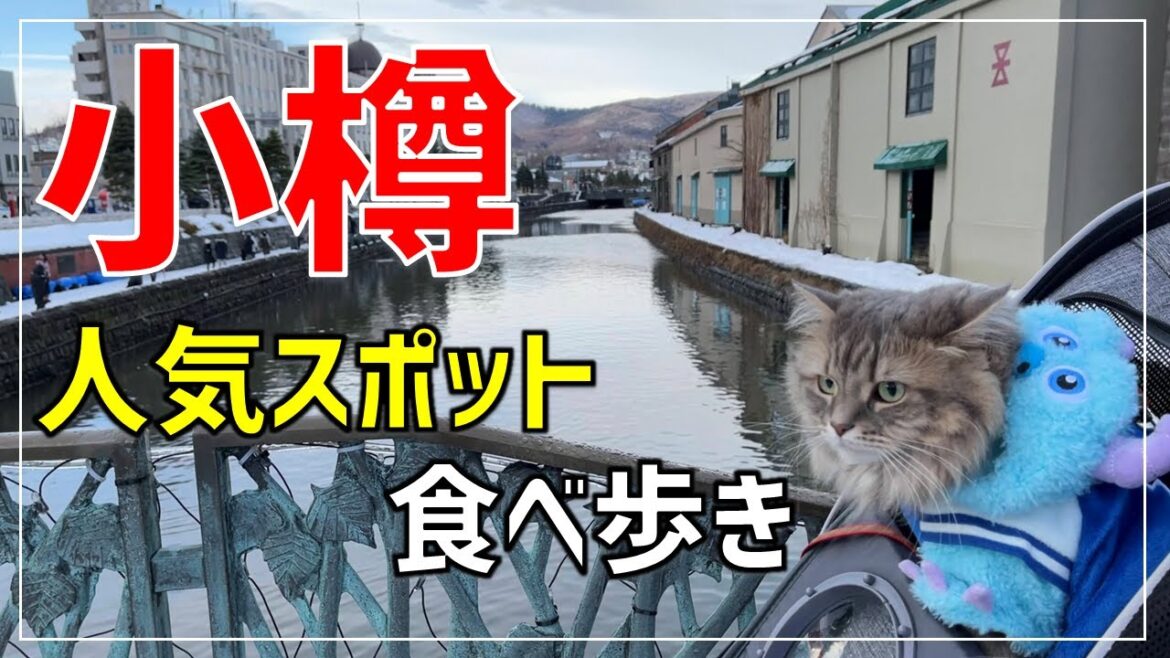 冬の小樽で食べ歩き！おすすめ絶品グルメや人気観光スポット巡り！【北海道ドライブ】