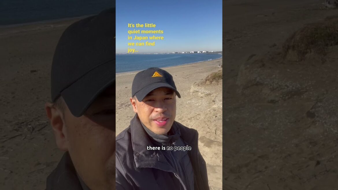 A STUNNING Beachside VIEW of Japan’s Skytree From Makuhari A STUNNING Beachside VIEW of Japan’s Skytree From Makuhari