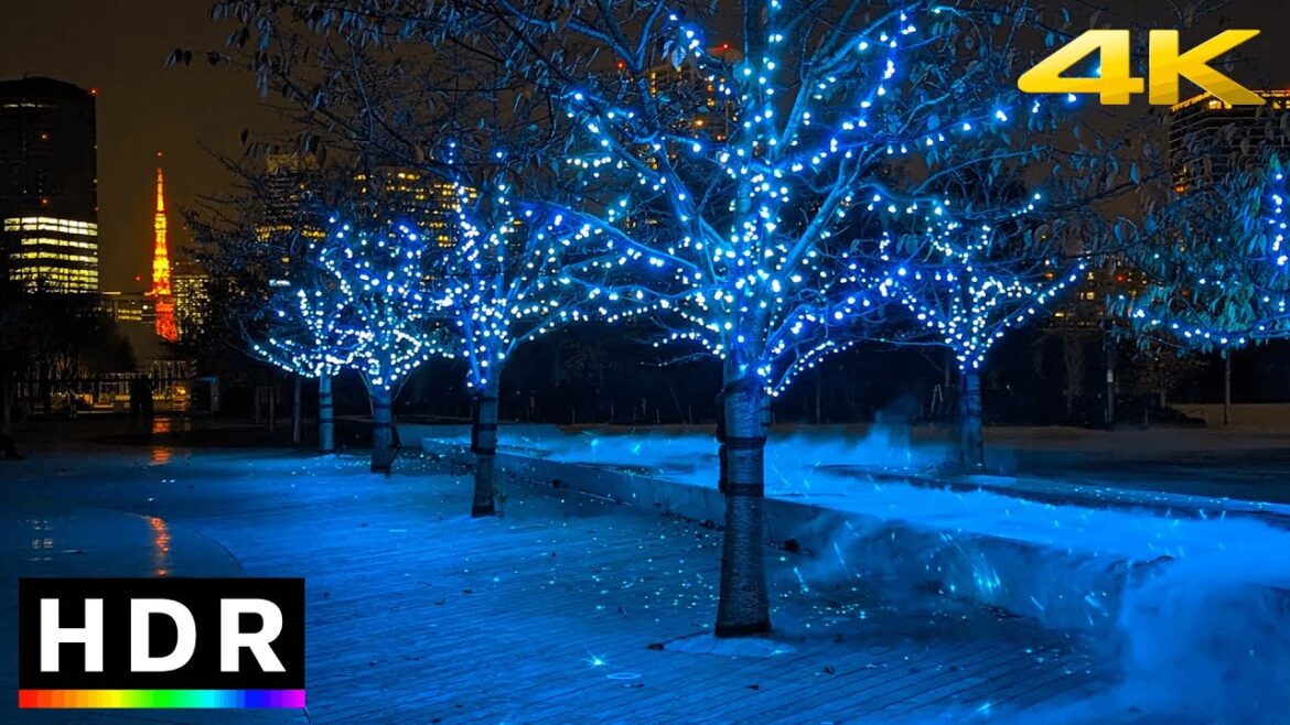 Shinagawa Tokyo Christmas Lights 2022 // 4K HDR Shinagawa Tokyo Christmas Lights 2022 // 4K HDR