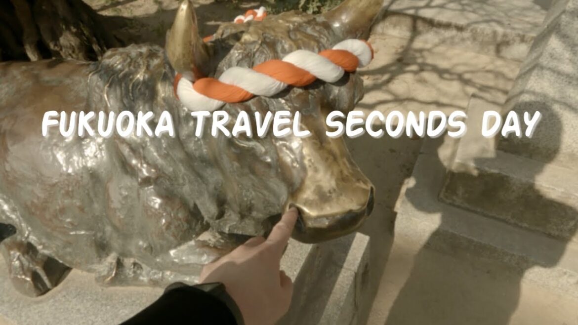 [VLOG] 후쿠오카 여행 2일차 | POV  | 다자이후 | 오호리 공원 | 스타벅스 | 모모치 해변 | 후쿠오카 타워