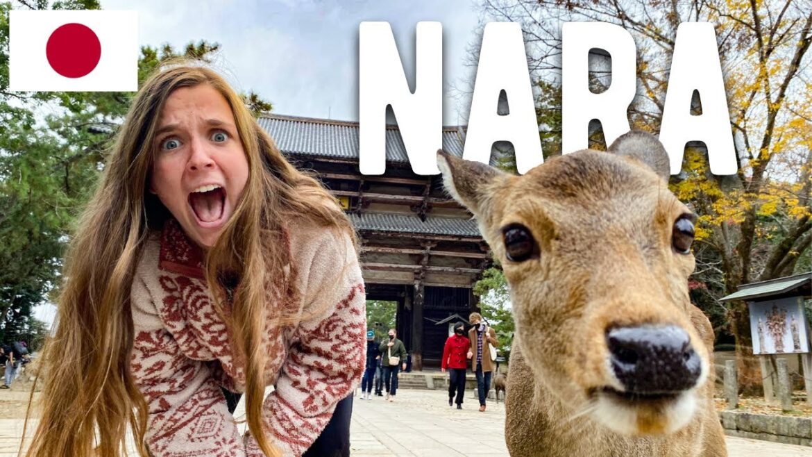 EXPLORING NARA JAPAN – The Land Of Deer EXPLORING NARA JAPAN - The Land Of Deer