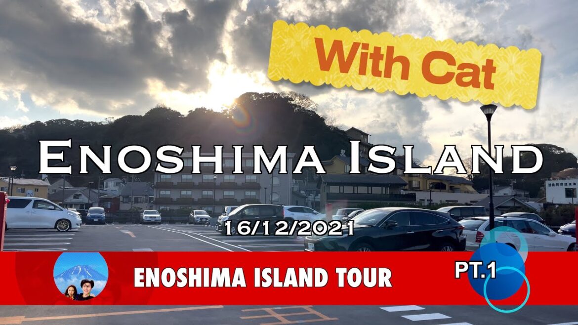 Enoshima Island : Enoshima Island Tour with Cat Pt.1