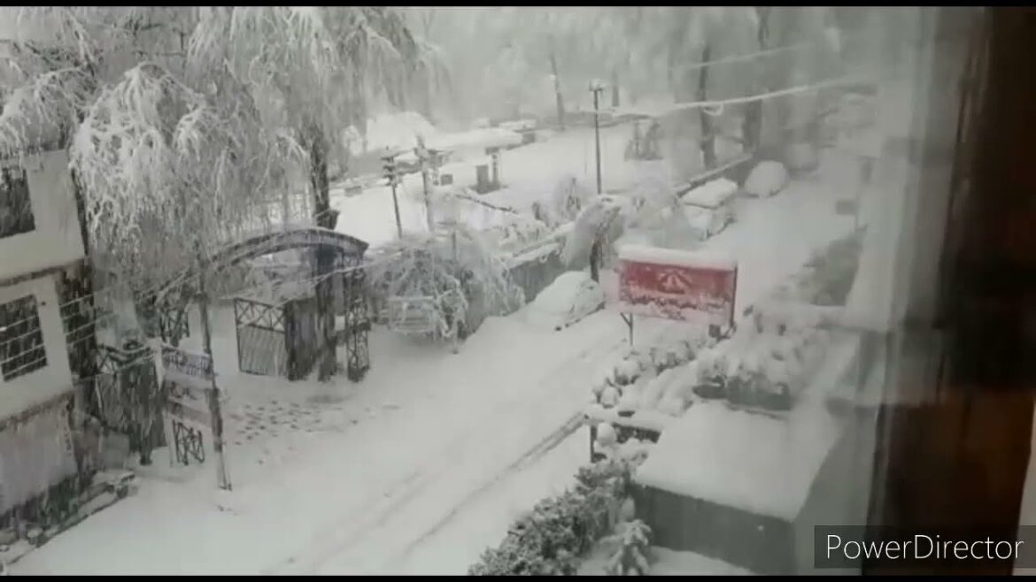 Heavy Snowfall In Manali 30/12/22 |Snowfall In Manali Rohtang Atal Tunnel Solang Valley