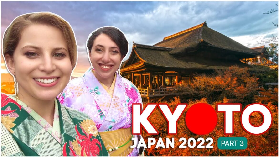 The REAL reason I came to Japan + kimono + tea ceremony + ryokan +  Gion at night- Part 3