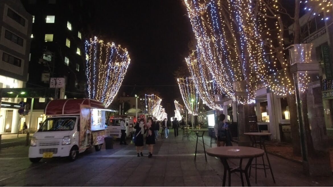 [4K] JAPAN NIGHT WALK - Shizuoka City Shopping Street and Illumination 2022 (呉服町名店街と青葉イルミネーション)