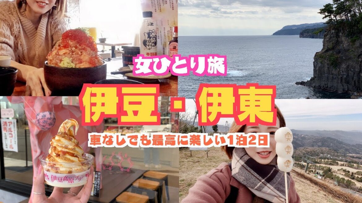 [ENG SUB] 女ひとり伊豆旅行♡1泊2日食い倒れVlog