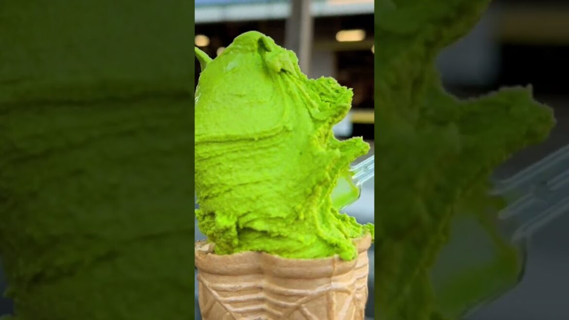 Farm fresh Ideboku ice cream🍦🐄🥛🇯🇵😎