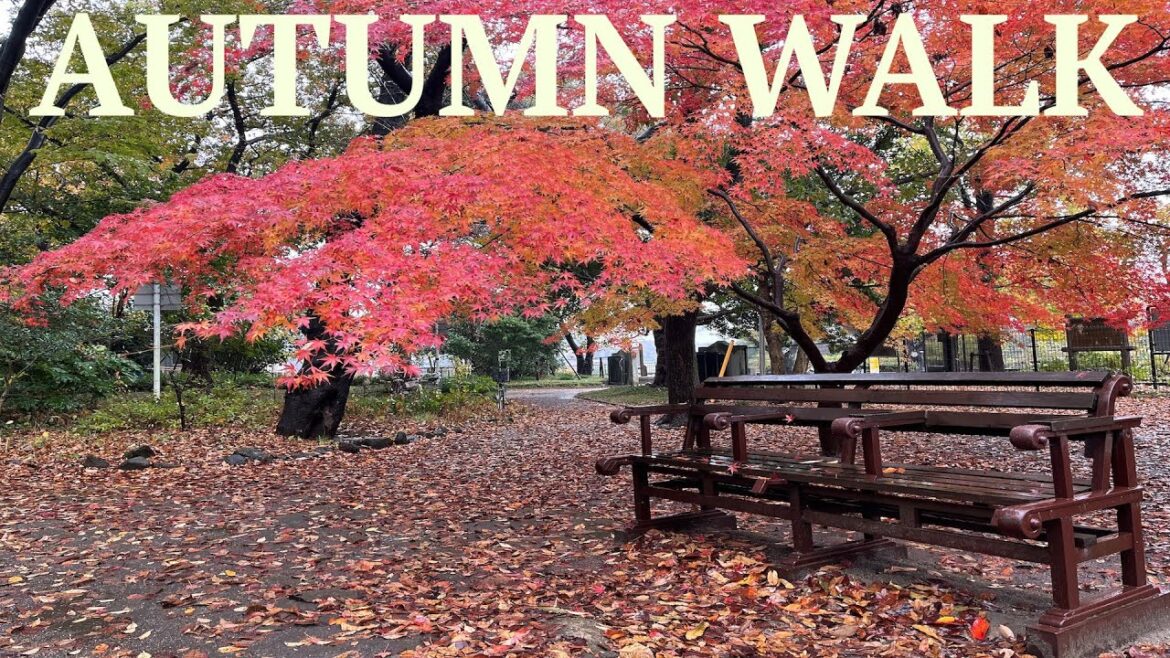 JAPAN Walk in the Rain | Virtual Walking POV | Lost in Japan