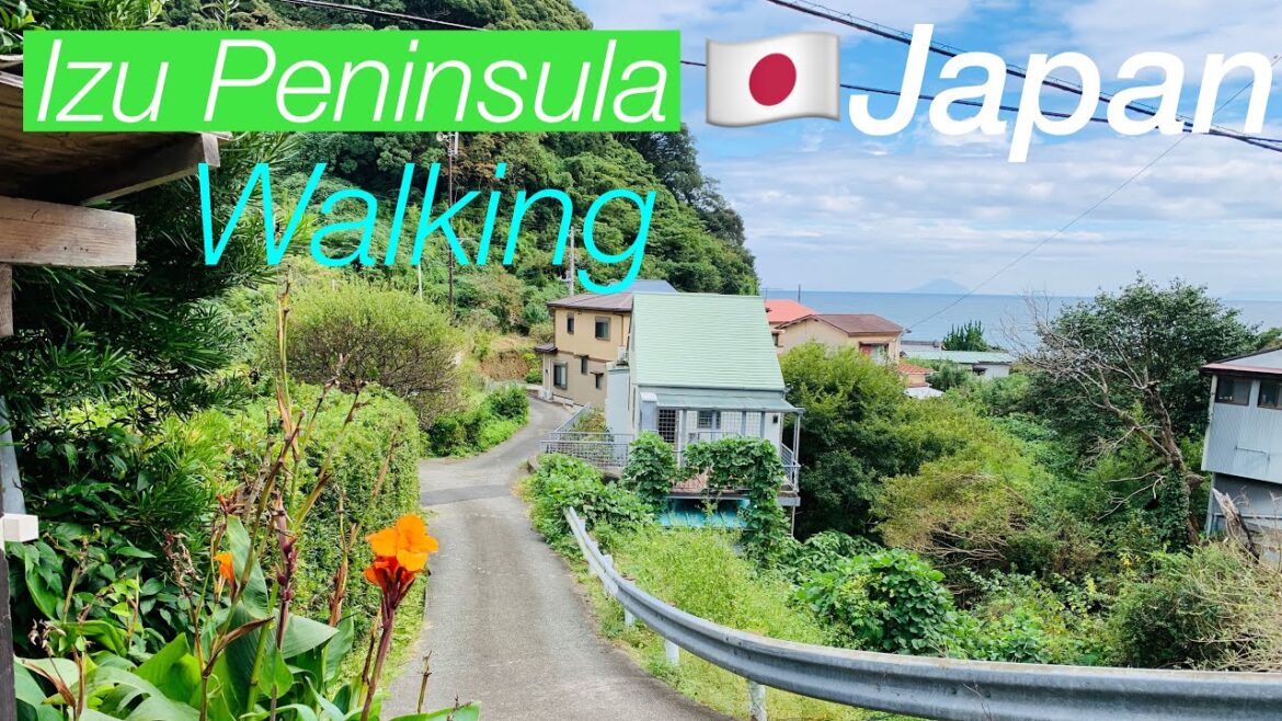 JAPAN🇯🇵We prefer to walk to local places /33Walking around the IzuPeninsula/Shizuoka