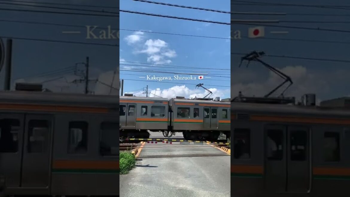 POV: You live in the countryside of Japan 🇯🇵 #japan #weeb #shorts #livinginjapan #travel #explore