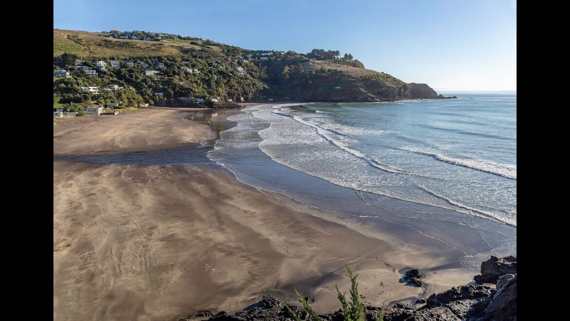 Taylors Mistake Beach Christchurch New Zealand Cam [2/21/2022]