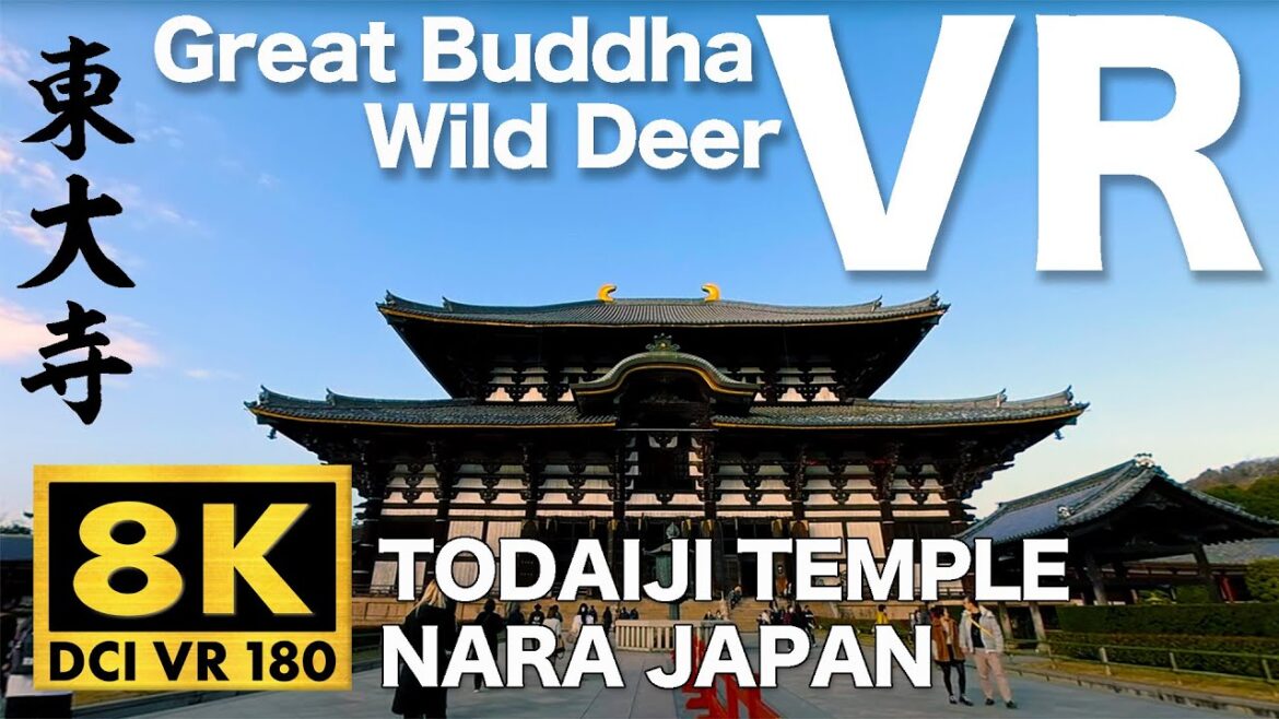 [VR180-8K Video] Japan Travel in Nara Todaiji-Temple VR Wild Deer and Great Buddha VR [3D view]