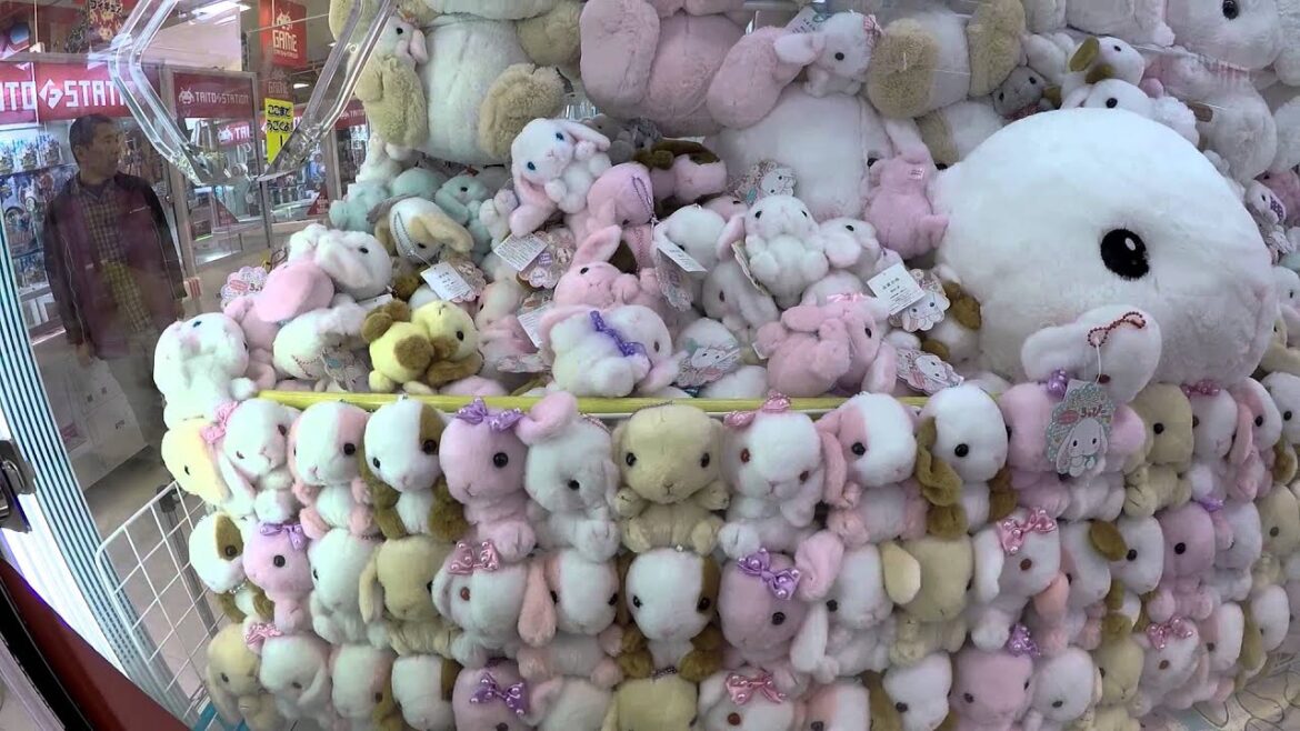 What can you win from a UFO Catcher in Japan