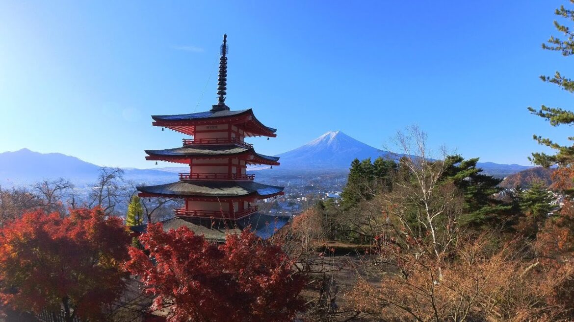Where do you see Mt.Fuji from?Arakura Sengen Park,Oshino Hakkai,FUJISAN VIEW EXPRESS,MISHIMA SKYWALK