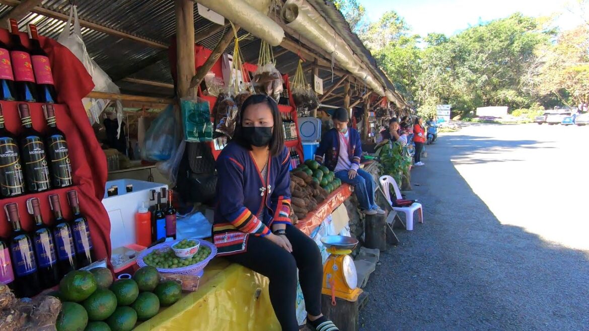 ตลาดชนเผ่า ริมทาง ดอยช้างมูบ เชียงราย ตลาดชนเผ่า ริมทาง ดอยช้างมูบ เชียงราย
