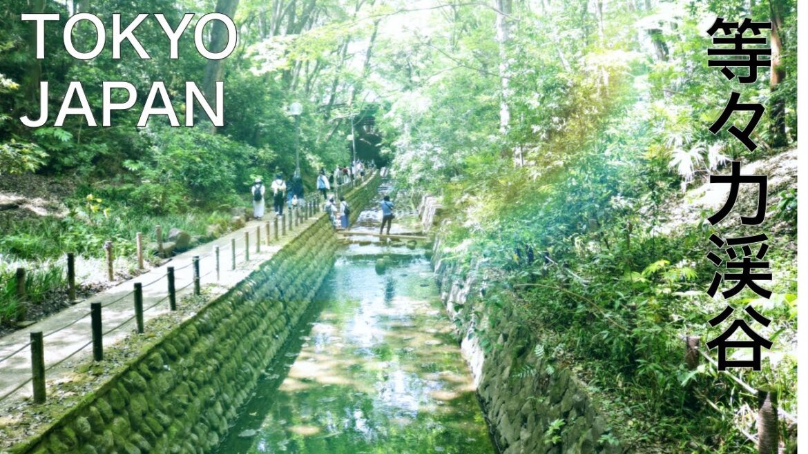 ★【TOKYO, JAPAN】TODOROKI VALLEY／Natural  valley only 20 mins from SHIBUYA. Wooded nature, river　等々力渓谷