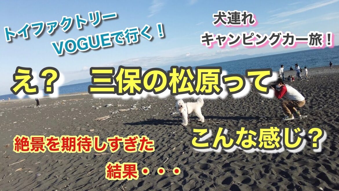 【50代夫婦と大型犬の車中泊旅】せっかく静岡に行くなら絶景見よう！と三保の松原へ！