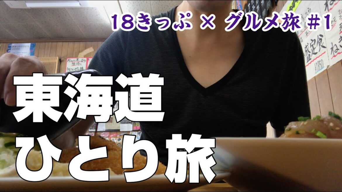 【青春18きっぷ × グルメひとり旅 #1】鎌倉→名古屋 東海道グルメひとり旅〜沼津の地鯵丼 & あじフライ〜