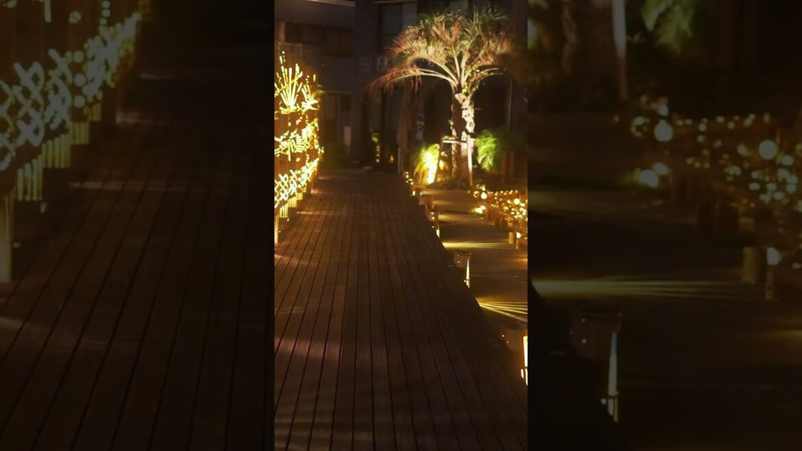 ペリーロード~下田 伊豆旅行② 静岡観光 Perry Road Shimoda Shizuoka Travel #shorts