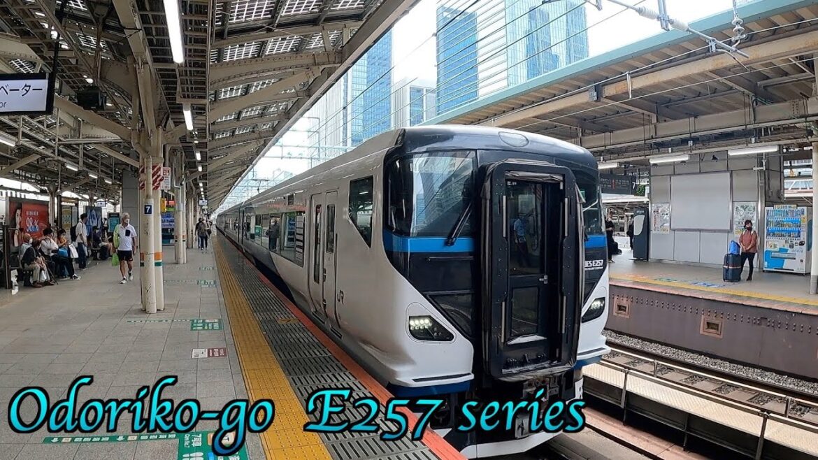 特急踊り子号で行く伊東温泉 特急踊り子号で行く伊東温泉