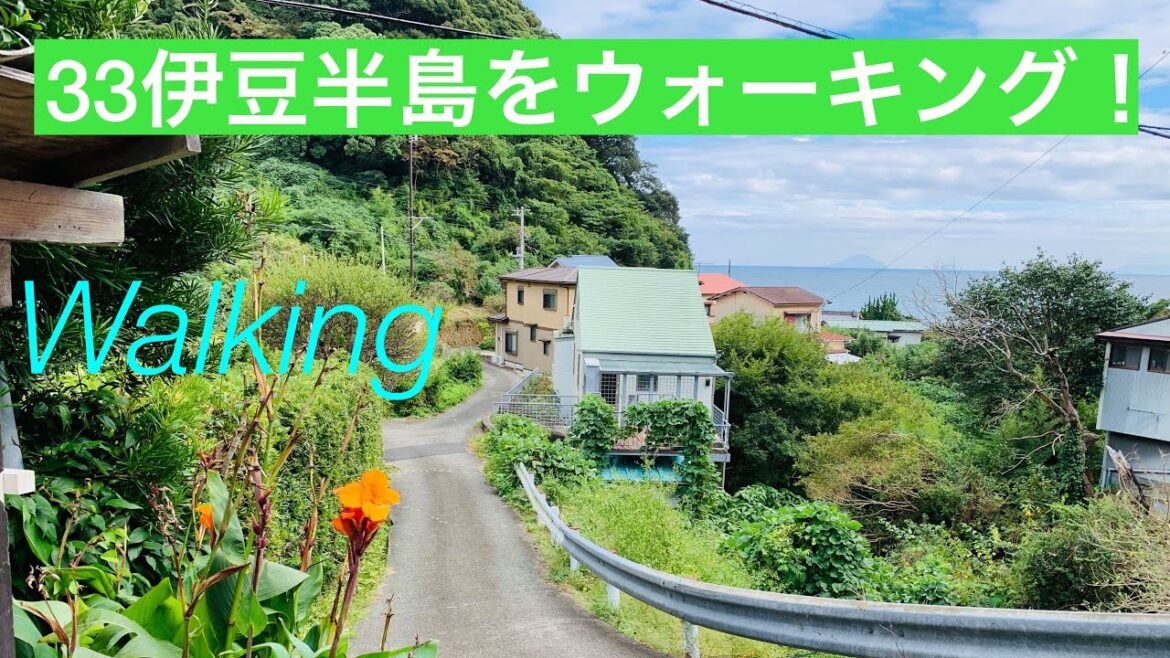 白浜中央海岸までの道のり/ローカルな道をゆっくりウォーキング/33伊豆半島を歩く/Izu Walk/Japan