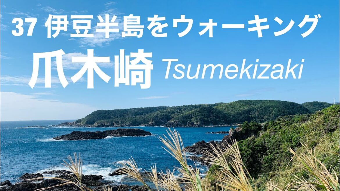 自然豊かな爪木崎/37伊豆半島を歩く/Tsumekizaki, Shimoda, Shizuoka, Japan