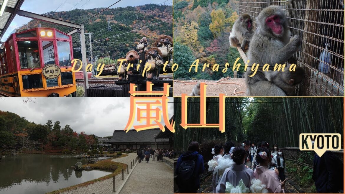 [Kyoto] 京都嵐山一日遊 Arashiyama day trip 猴子公園 monkey park 嵐山小火車 Sagano Romantic Train