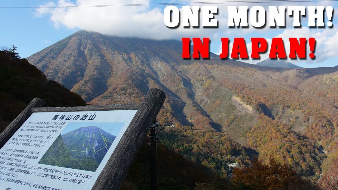 One Month In Japan! ( The Road Trip ) One Month In Japan! ( The Road Trip )
