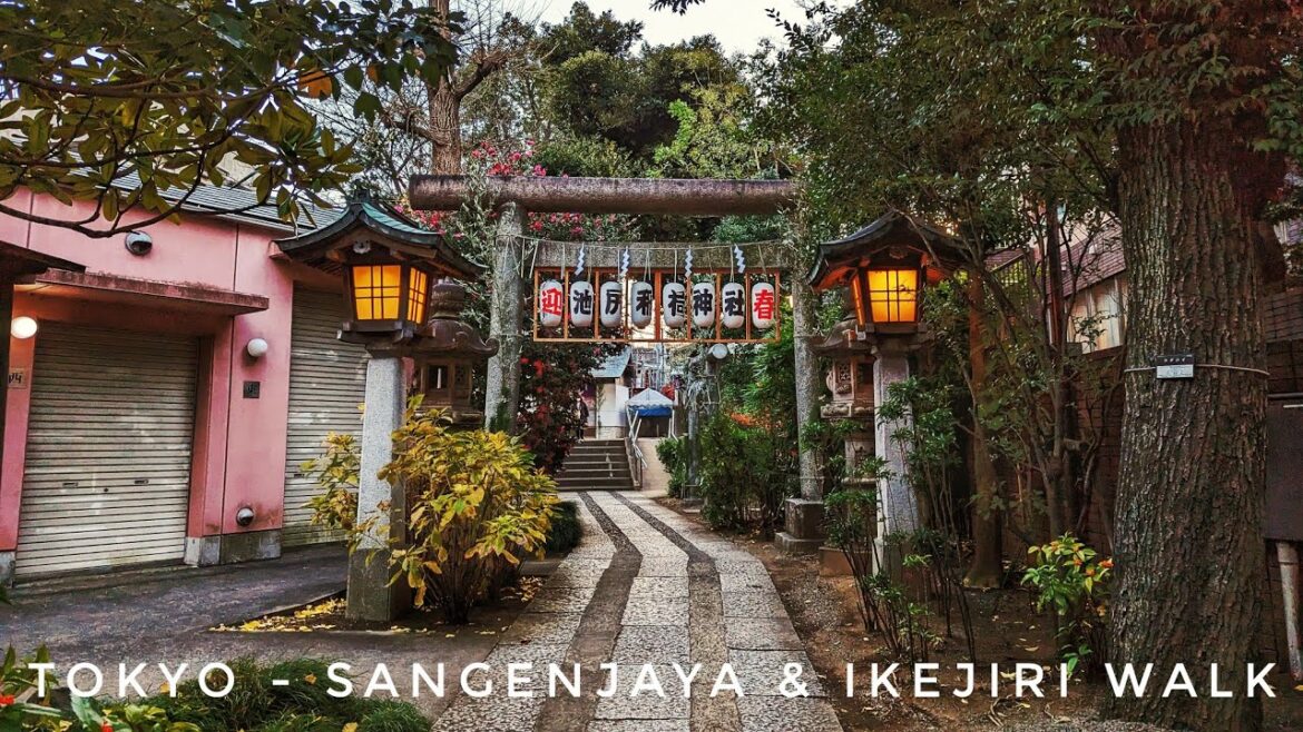 Ikejiri & Sangenjaya - Tokyo Afternoon Walk