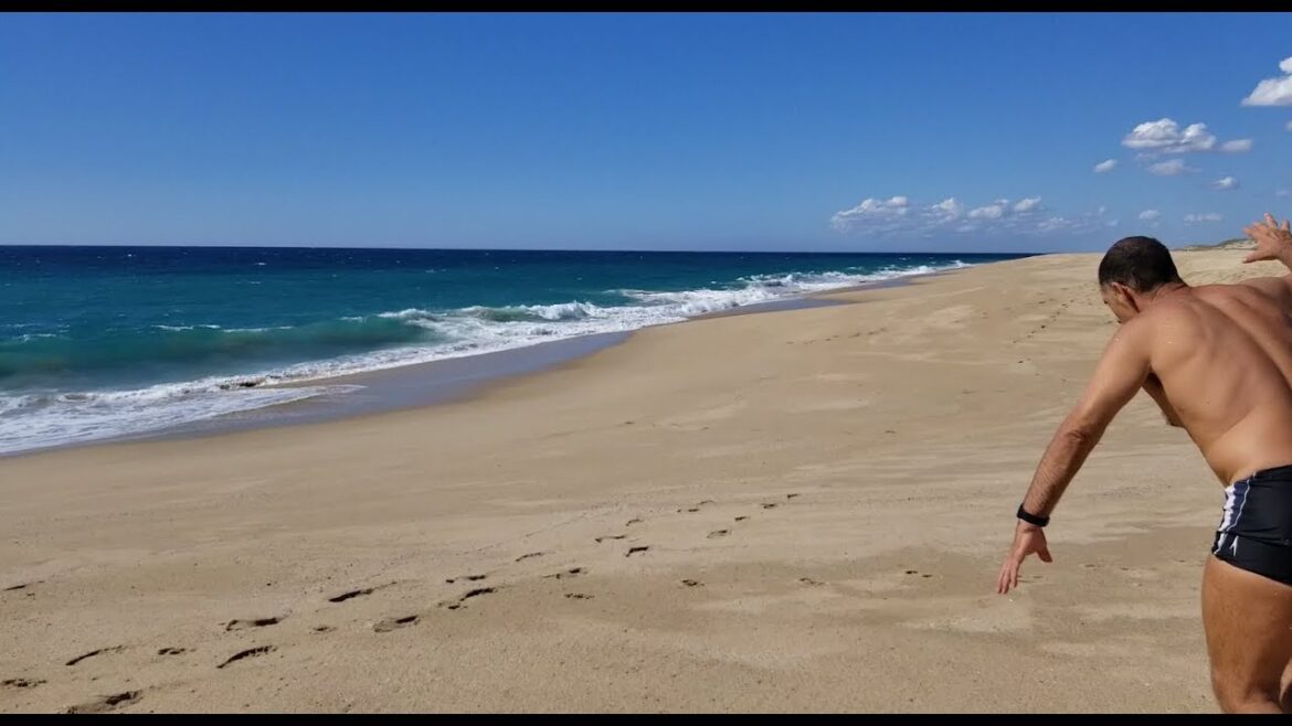 The daily ukemi @bajaAikido