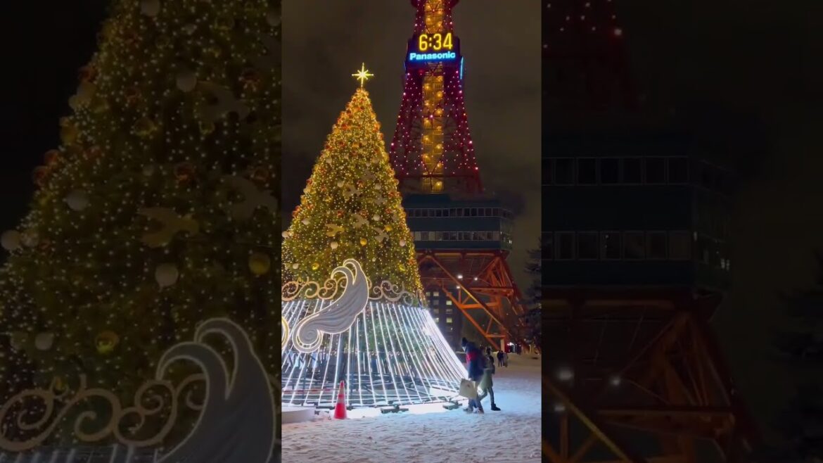 삿포로 스스키노 닛카 | 札幌のすすき野 | NIKKA | ニッカ | 겨울왕국 자유여행 | Susukino of Sapporo | 랜선 투어 | 北海道を旅行 | Hokkaido