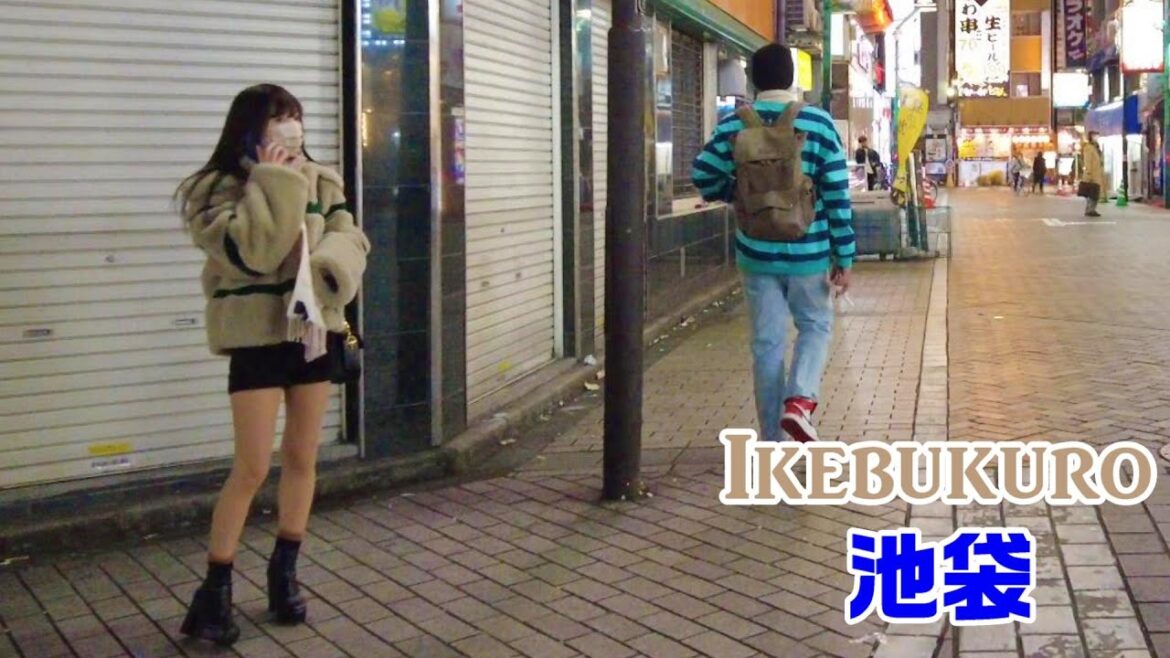 【4K Tokyo Walk】Ikebukuro Walk　池袋散歩　이케부쿠로【東京散歩】2022/12/20