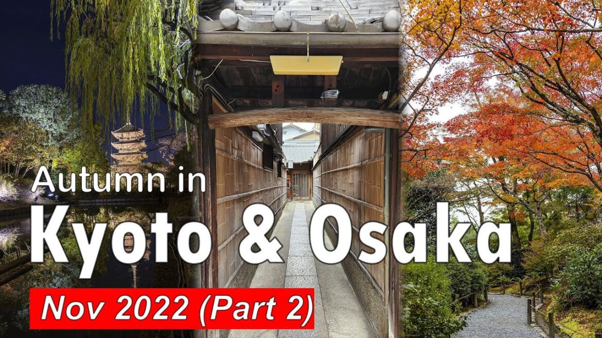 Autumn in Kyoto & Osaka | Japan Travel Autumn in Kyoto & Osaka | Japan Travel