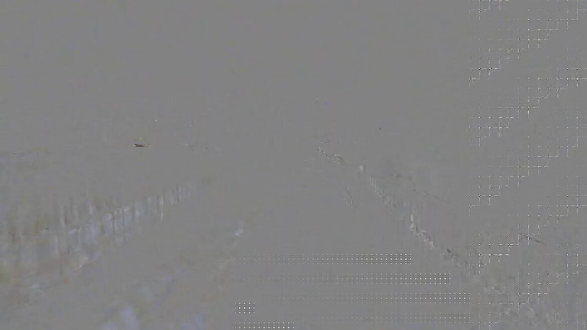 【Live】Japanese New Year - Hirosaki Live