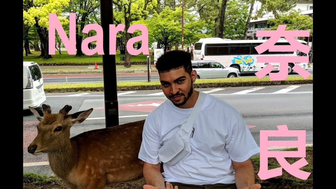 Our Trip to Japan – NARA 2018 | Travelman Tam Our Trip to Japan - NARA 2018 | Travelman Tam