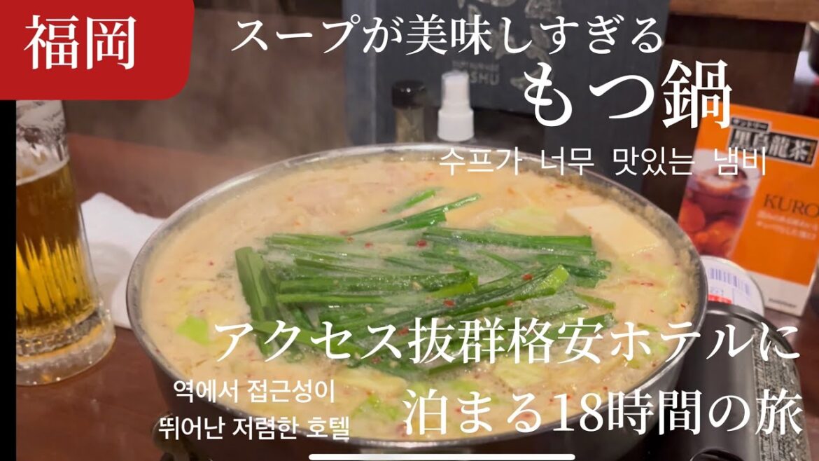 一泊で楽しむ福岡の街歩き。美味しいもつ鍋を食べて大満足😃1박으로 즐기는 후쿠오카의 거리 산책.  맛있는 냄비를 먹고 대만족