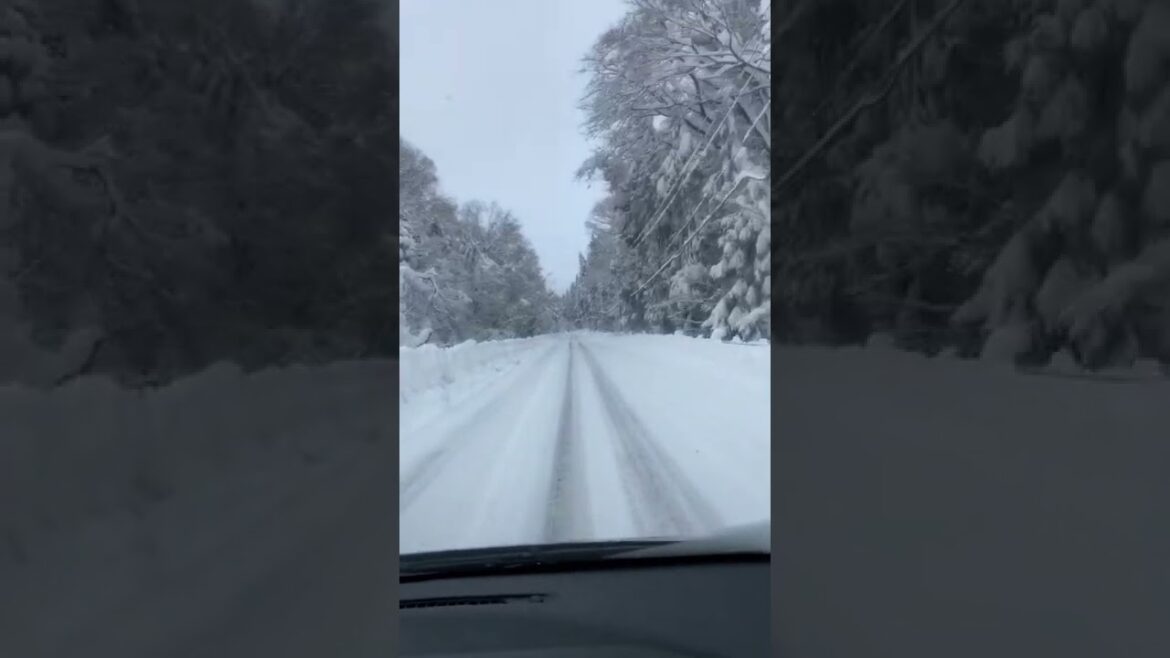 Driving Through the Snow #japan #snow #road #alanmax